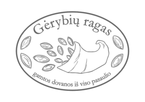 Gerybių ragas